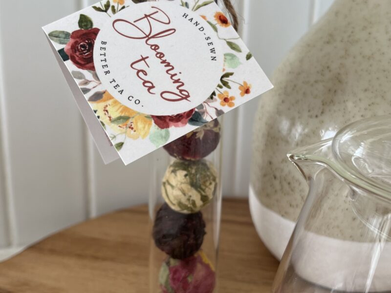 Organic & or Paid UGC Content