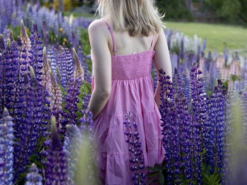 UGC & Content Creation