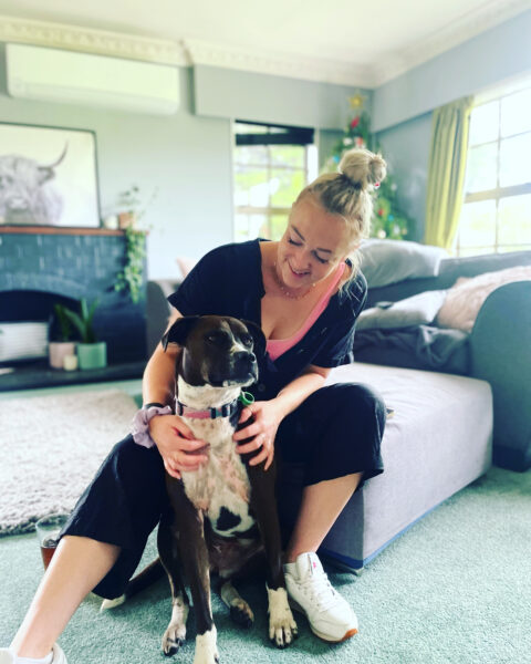 Canine Health Hub Collaboration - One Instagram Reel