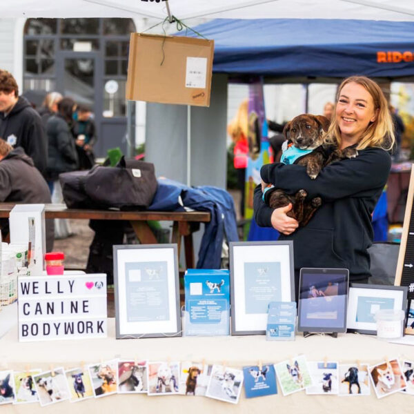 Canine Health Hub Collaboration - One Instagram Reel