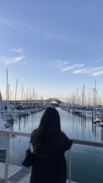 Tiktok with Voiceover