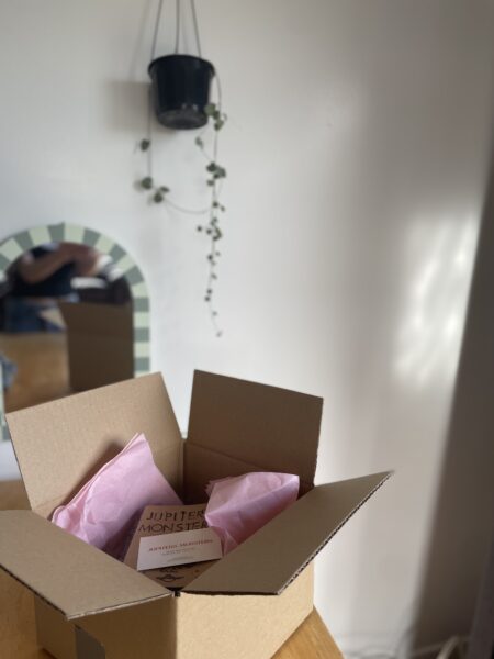 Instagram and TikTok Reel & Post